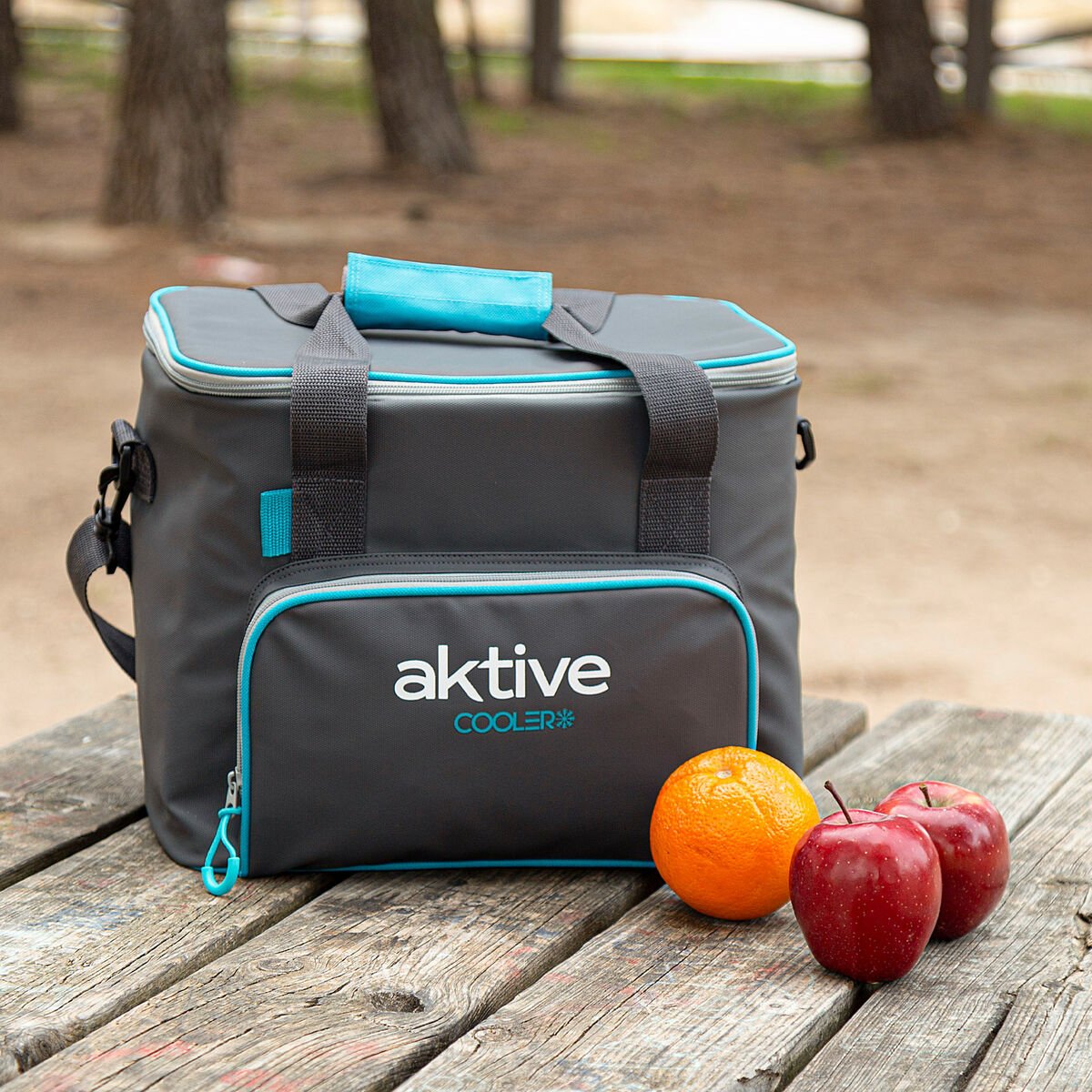 Portable Fridge Aktive 20 L 32 x 28 x 23 cm Black (4 Units) - Urbantrek